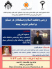 بررسی وضعیت اسلام و مسلمانان در مسکو  بر اساس تجربه زیسته