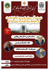 دی دی آر، روش نوین در ایجاد امنیت در جوامع پسابحران و پسامنازعه
